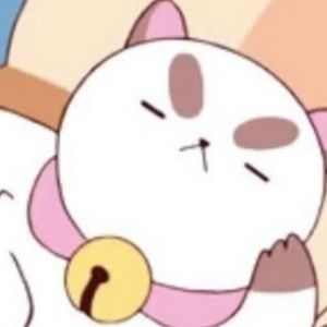 Meet your Posher, Bella